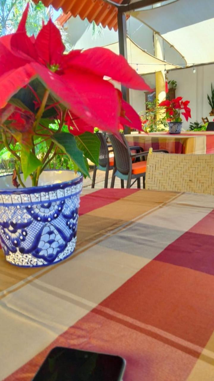 Quinta Rosita Bed & Breakfast Ticul Ngoại thất bức ảnh