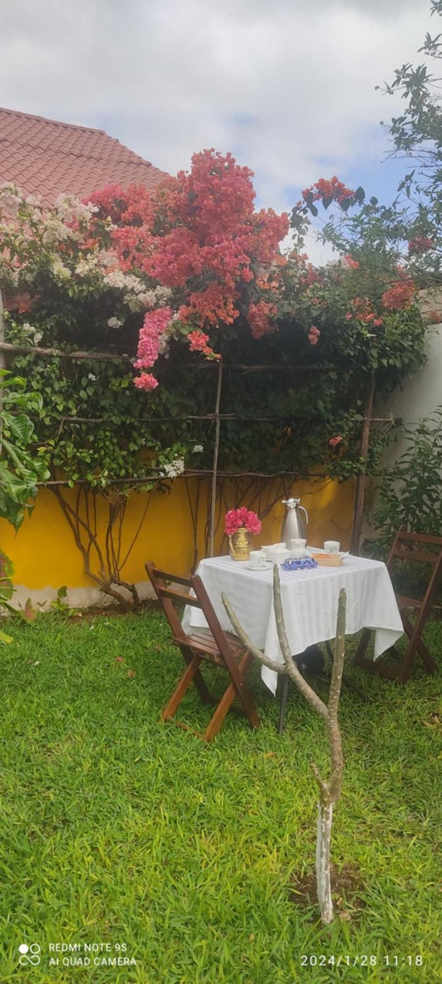 Quinta Rosita Bed & Breakfast Ticul Ngoại thất bức ảnh