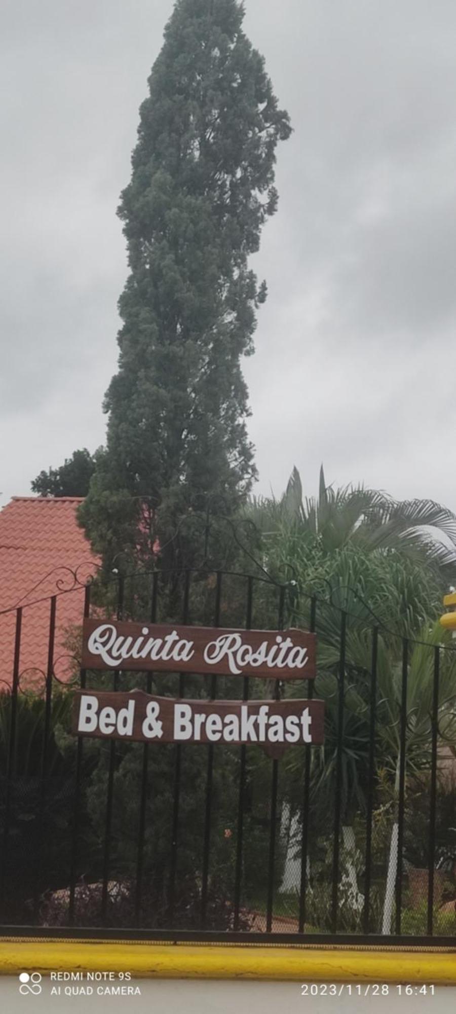 Quinta Rosita Bed & Breakfast Ticul Ngoại thất bức ảnh