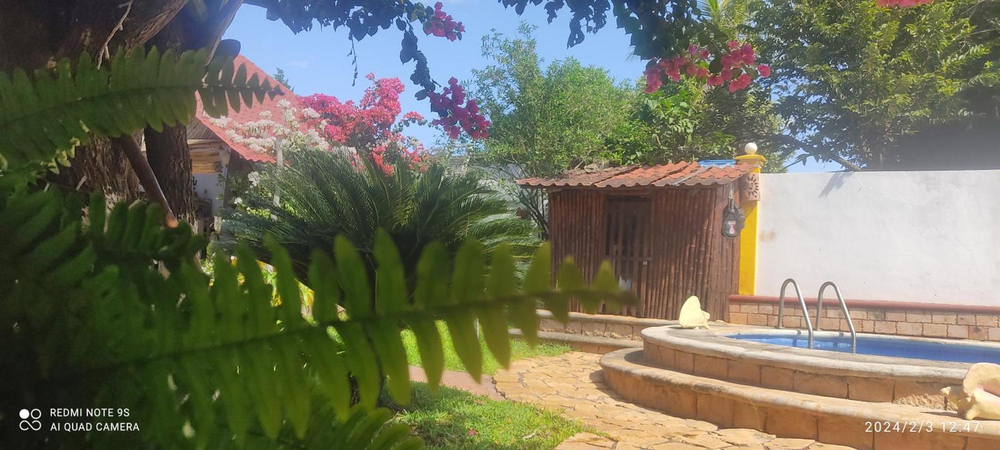 Quinta Rosita Bed & Breakfast Ticul Ngoại thất bức ảnh