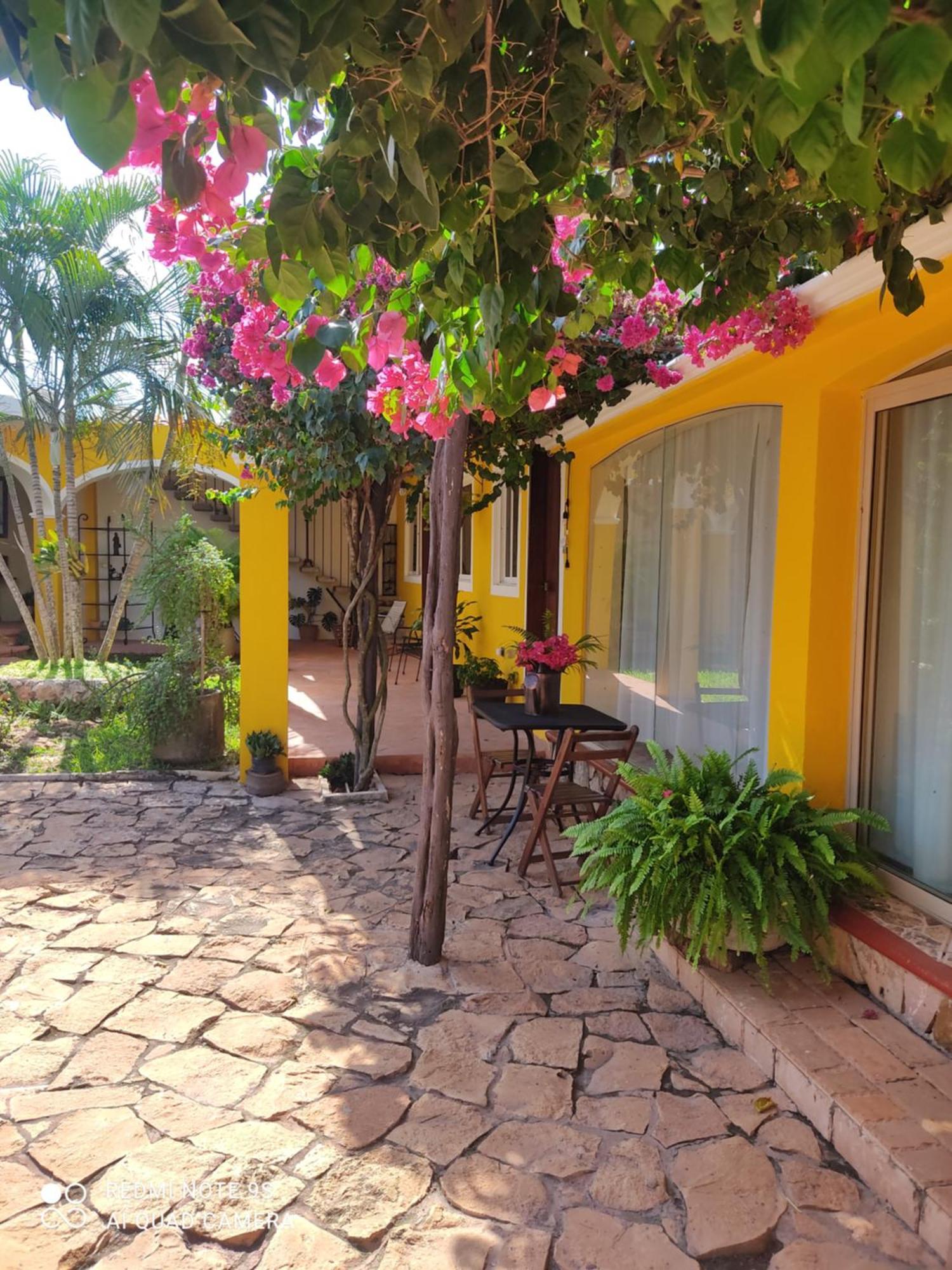 Quinta Rosita Bed & Breakfast Ticul Ngoại thất bức ảnh