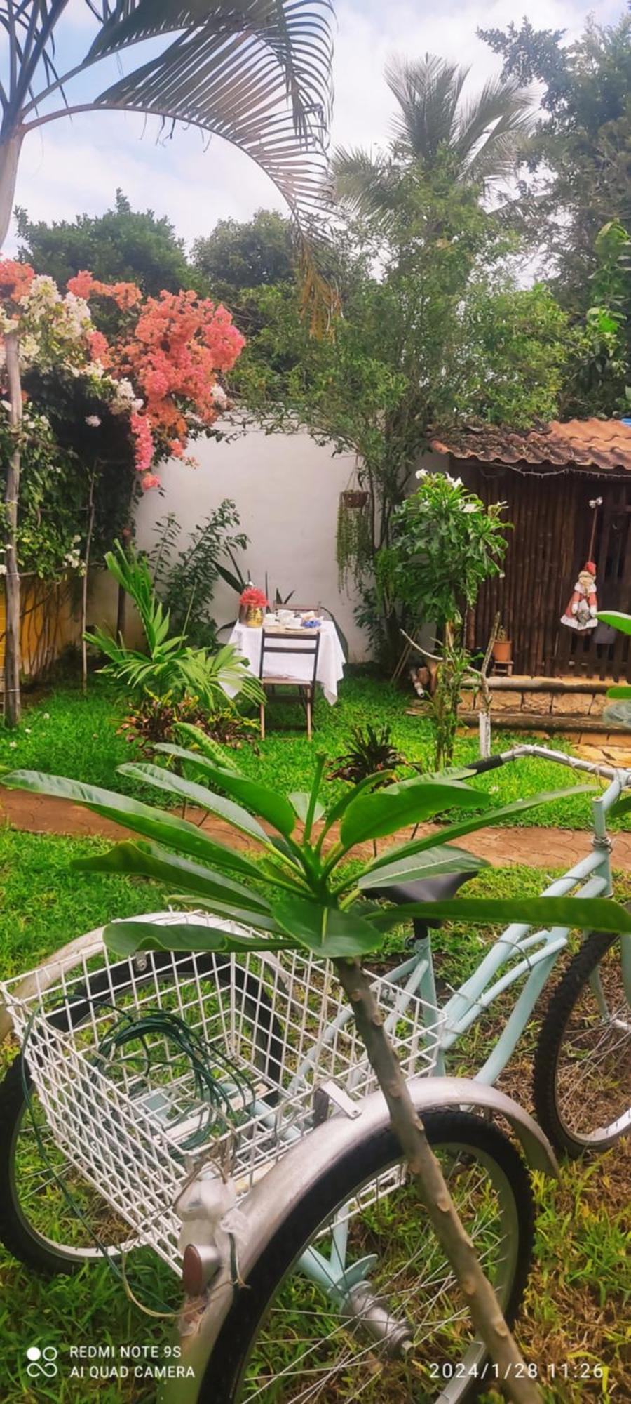 Quinta Rosita Bed & Breakfast Ticul Ngoại thất bức ảnh