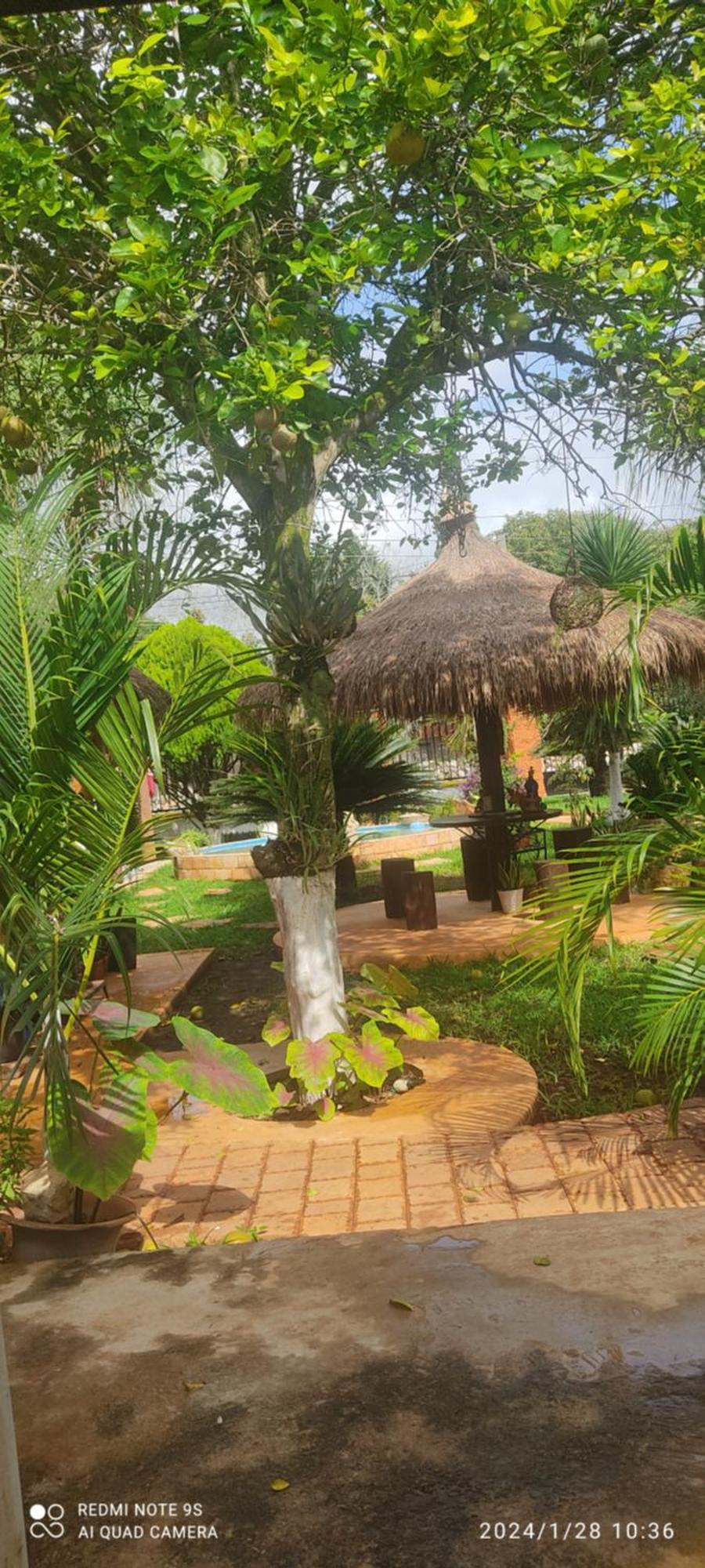 Quinta Rosita Bed & Breakfast Ticul Ngoại thất bức ảnh