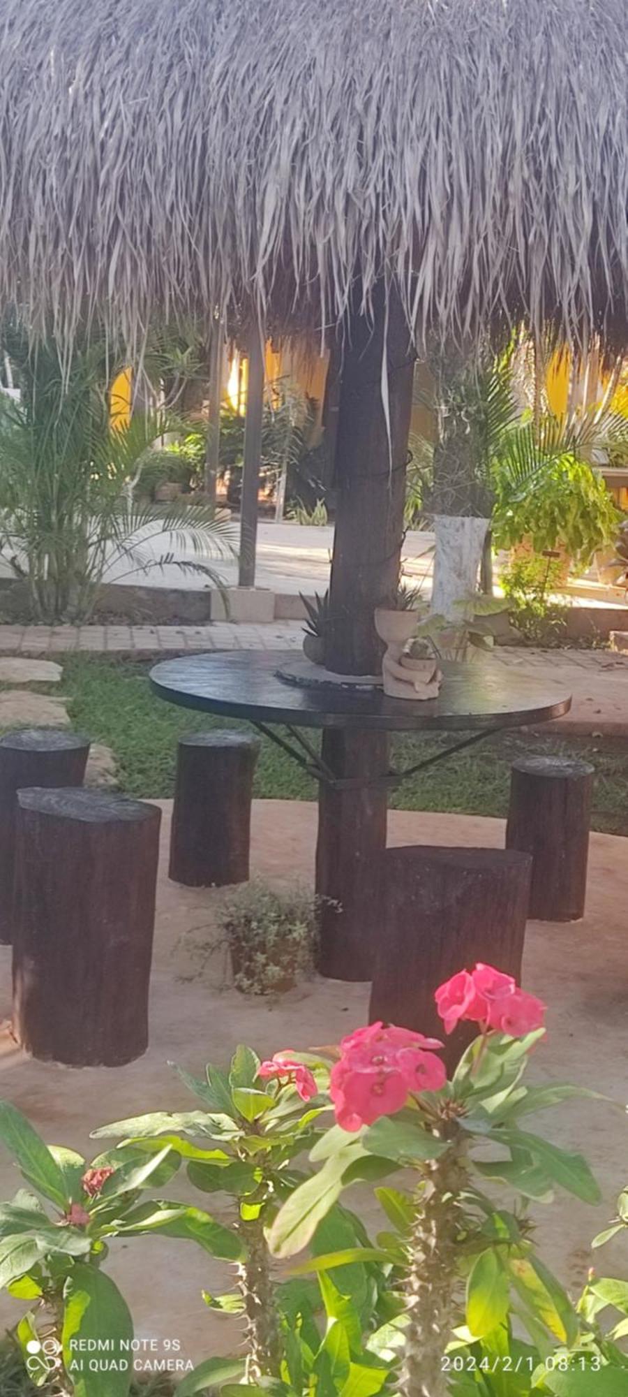 Quinta Rosita Bed & Breakfast Ticul Ngoại thất bức ảnh