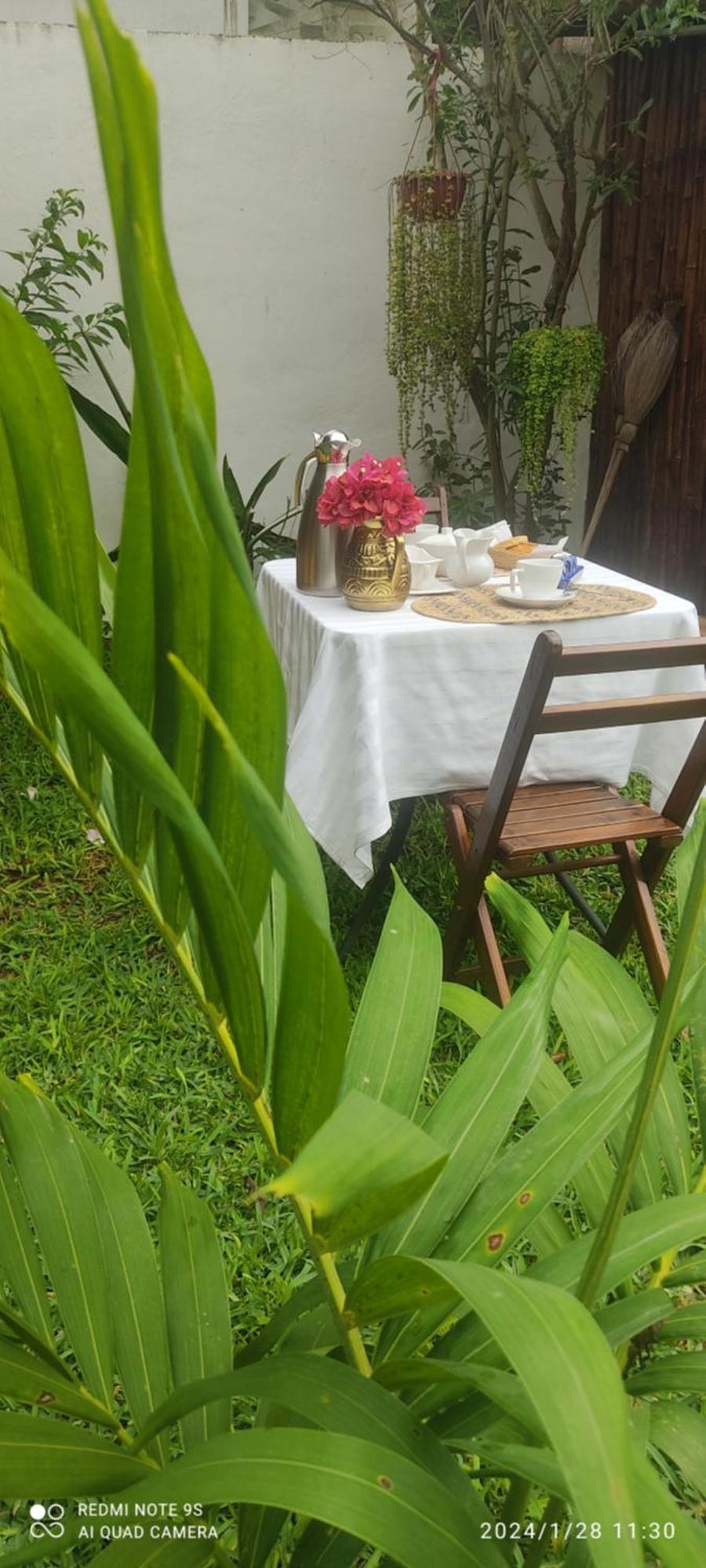 Quinta Rosita Bed & Breakfast Ticul Ngoại thất bức ảnh