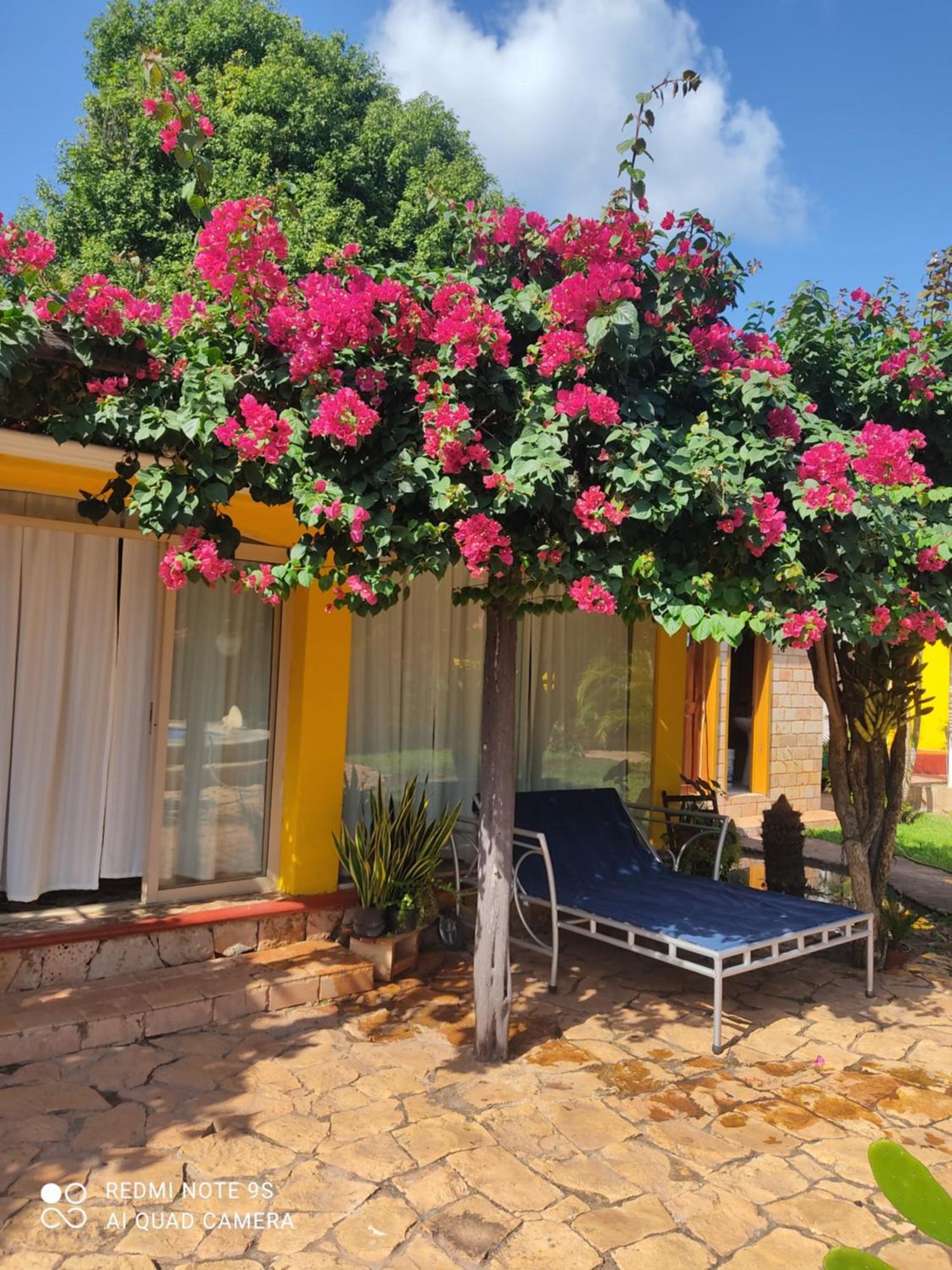 Quinta Rosita Bed & Breakfast Ticul Ngoại thất bức ảnh