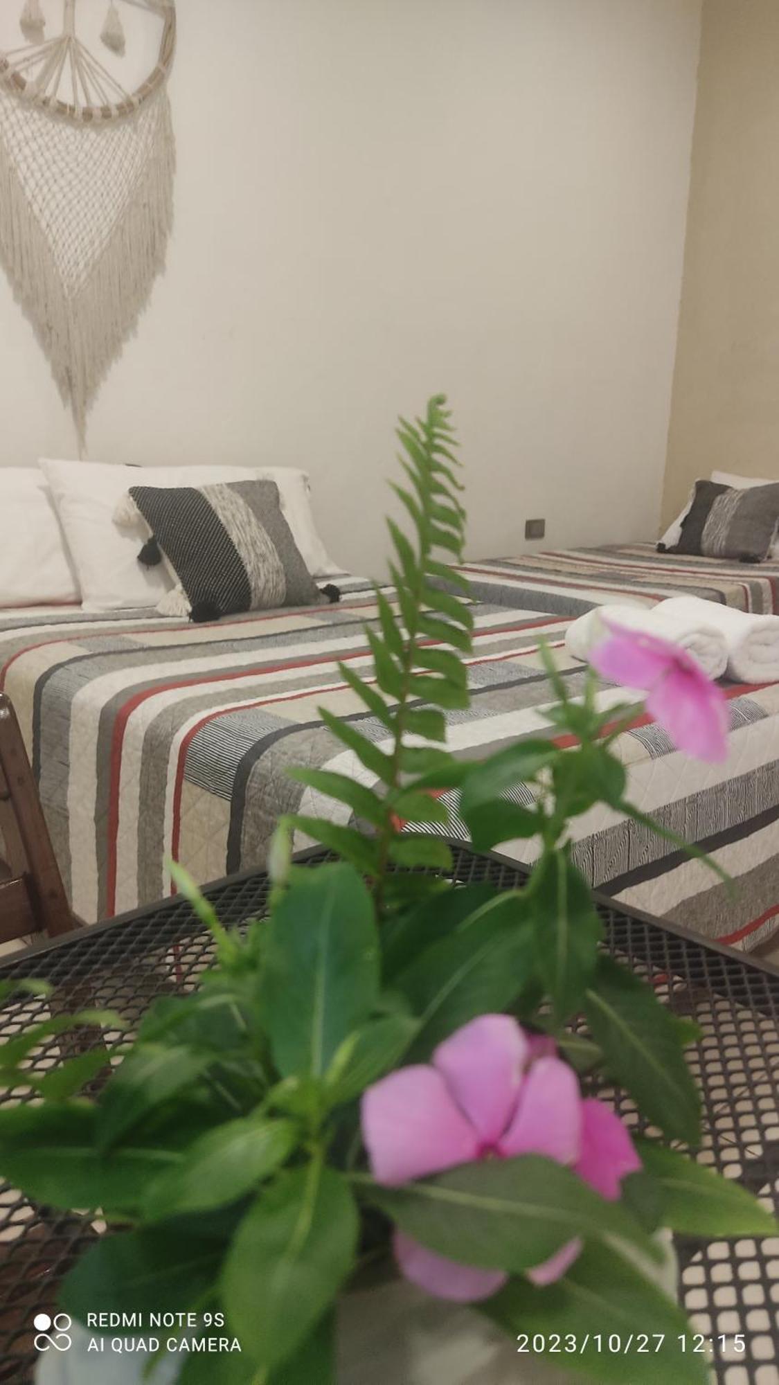 Quinta Rosita Bed & Breakfast Ticul Ngoại thất bức ảnh