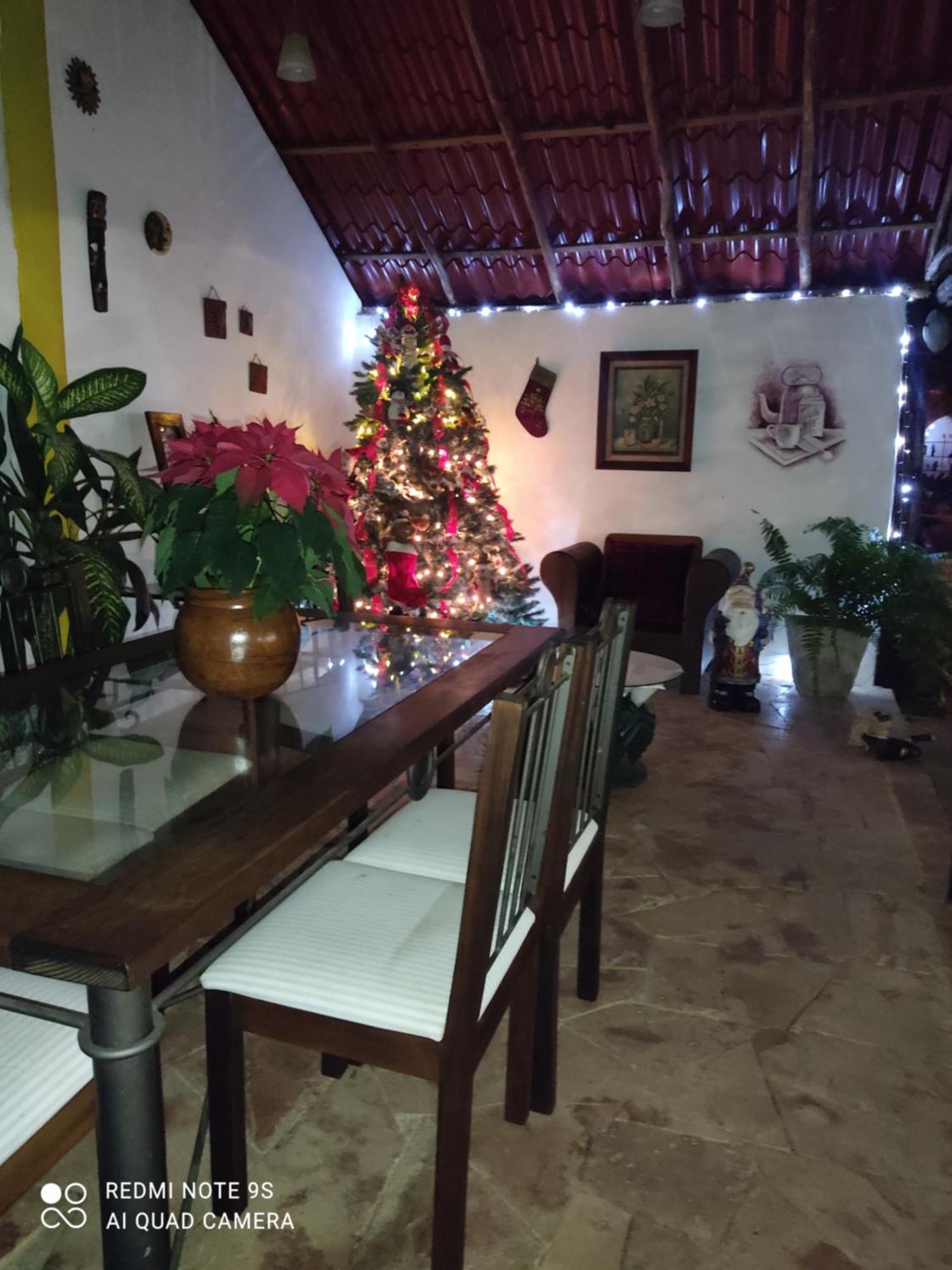 Quinta Rosita Bed & Breakfast Ticul Ngoại thất bức ảnh