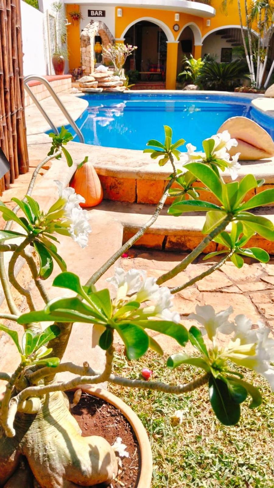 Quinta Rosita Bed & Breakfast Ticul Ngoại thất bức ảnh