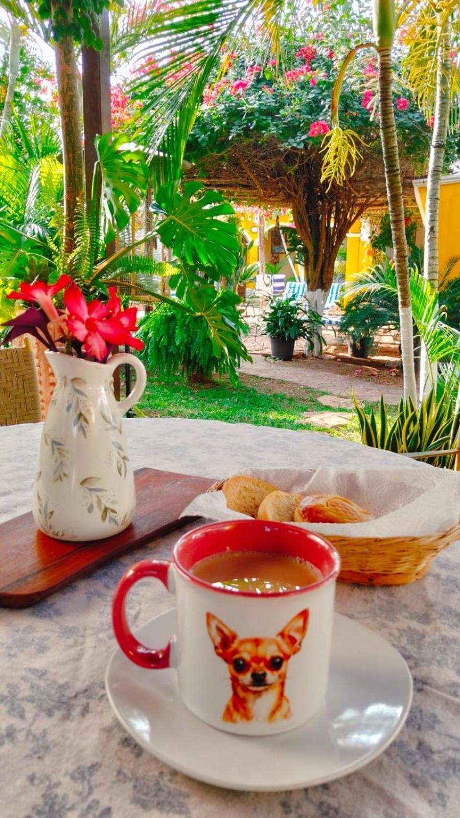 Quinta Rosita Bed & Breakfast Ticul Ngoại thất bức ảnh