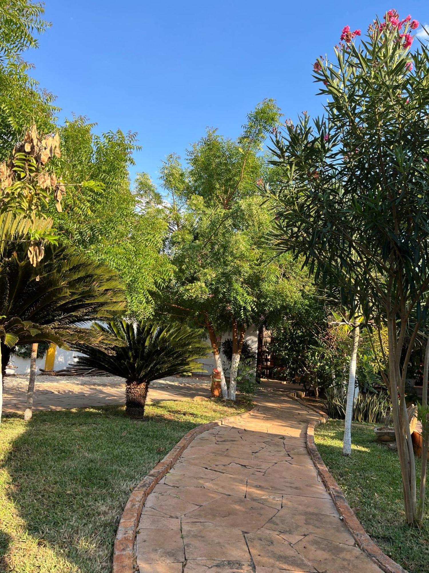 Quinta Rosita Bed & Breakfast Ticul Ngoại thất bức ảnh